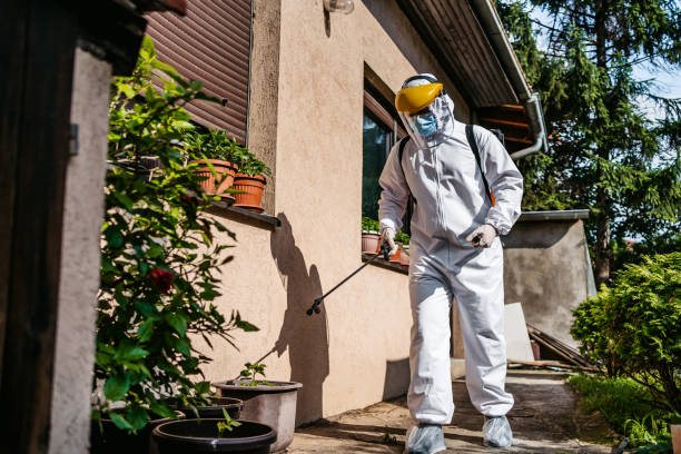 Reliable Exton, PA Pest Control Solutions