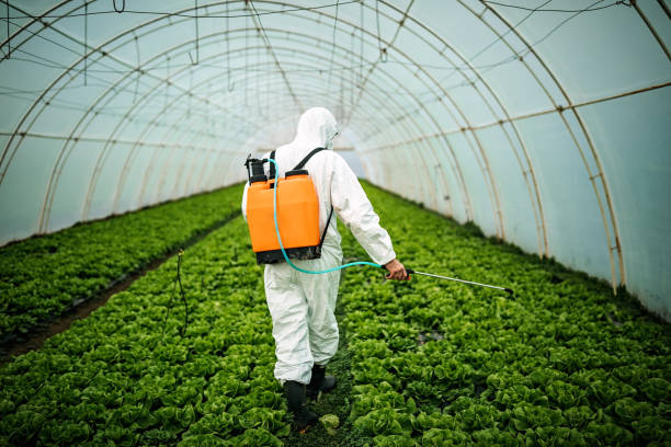 Best Affordable Pest Control Services  in Exton, PA
